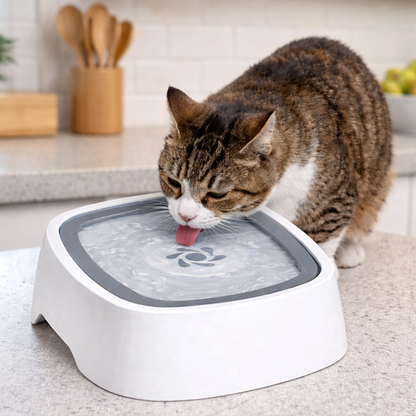 HAPPY SIP™ -PET FOUNTAIN