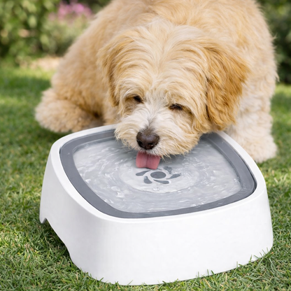 HAPPY SIP™ -PET FOUNTAIN