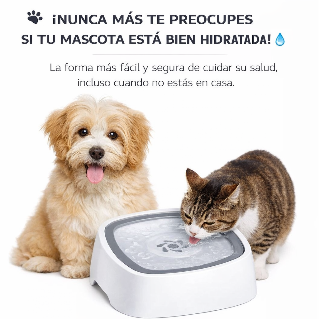 HAPPY SIP™ -PET FOUNTAIN