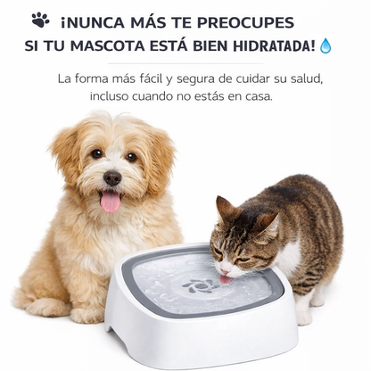 HAPPY SIP™ -PET FOUNTAIN